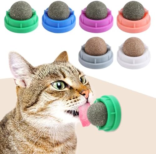KIMOBER 6 Pack Catnip Ball for Cats,Edible Kitten Chew Toys with Catnip Silvervine Gall Fruit Flavors for Cats Lick Dental Teeth Cleaning Cats Wall Treats by KIMOBER