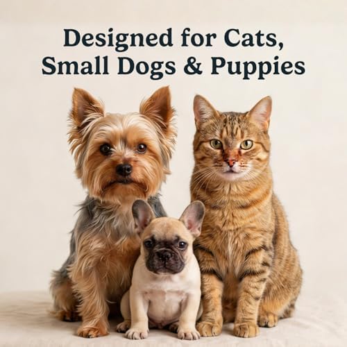 Jasper Microbrush Cat Toothbrush, Vet Approved for Felines & Small Dogs - Image 4