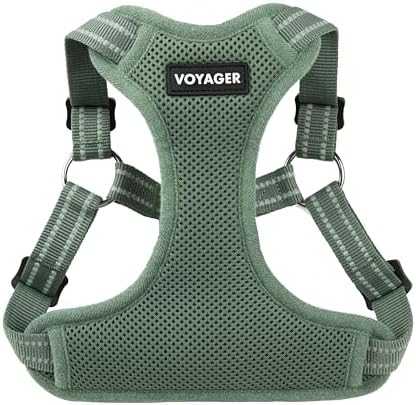Voyager Step-in Flex Adjustable Dog Harness - Moss Green, Medium by BestPetSuppliesLLC