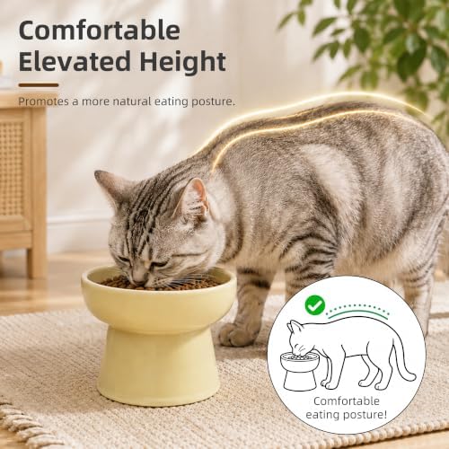 Casfuy Non-Skid Whisker-Friendly Elevated Ceramic Cat Food & Water Bowl - Image 3