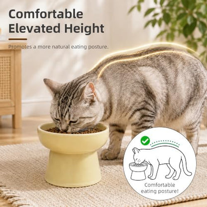 Casfuy Non-Skid Whisker-Friendly Elevated Ceramic Cat Food & Water Bowl - Image 3