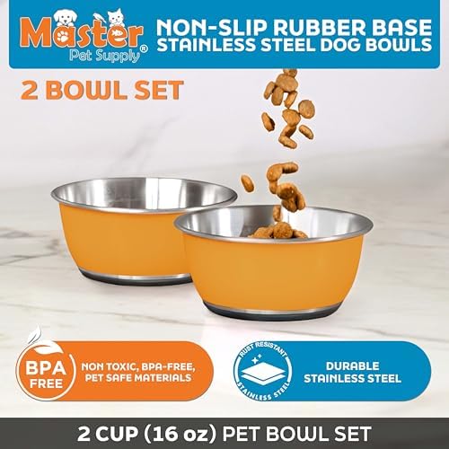 Master Pet Supply Stainless Steel Dog Bowls Set of 2 - Mango Tango - 16 Oz - Image 2