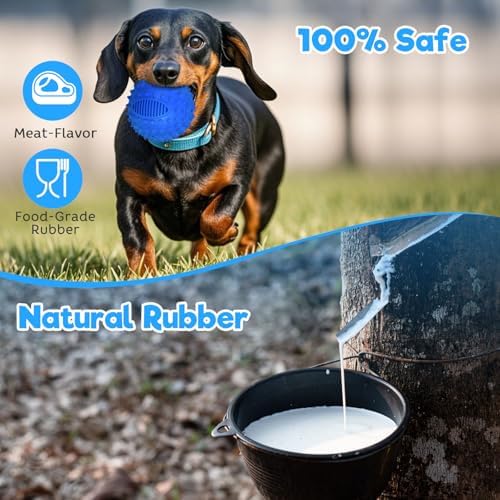 petizer 3" Squeaky Dog Balls for Aggressive Chewers, Durable Interactive Spiky Ball for Teething, Indestructible Rubber Dog Chew Toys, Tough Pet Toys for Small, Medium & Large Breeds - Image 3