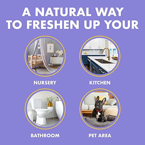 Gonzo Odor Air Magnet Max Gel Odor Eliminator (2 PACK) For Car, Closet, Trash & Pet Areas, Smoke Odors - Lavender and Linen Scent, 14 oz Jars, Blue - Image 4