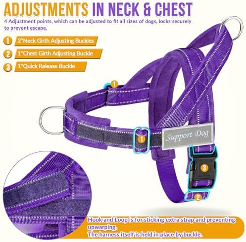SlowTon No Pull Dog Harness and Leash Set - Heavy Duty, Soft Padded - Image 5