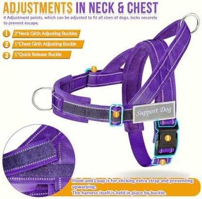 SlowTon No Pull Dog Harness and Leash Set - Heavy Duty, Soft Padded - Image 5
