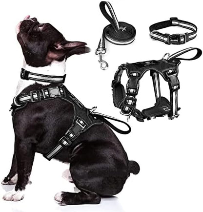 WINSEE Pet Harness Collar and Leash Set, All-in-one Reflective Dog Harness No Pull with Adjustable Buckles for Puppies, Small, Medium, Large, and Extra-Large Dogs (Medium, Black) by WINSEE