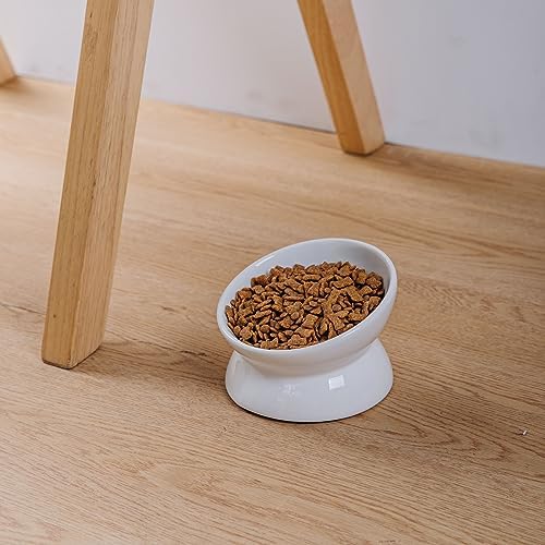 Elevated Ceramic Cat Bowl, 15° Tilted Raised Food & Water Dishes, Anti-Vomiting & Neck Protection Pet Feeder for Kittens, Small Dogs (5.2", White, 2pc Set) - Image 4