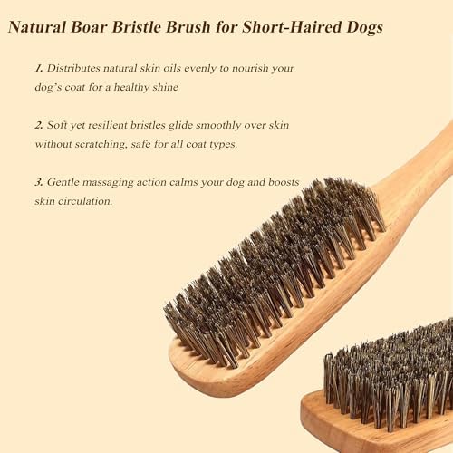Boar Bristle Dog Brush for Short Haired Dogs, Natural Wooden Grooming Tool, Reduce Shedding, Detangle & Massage Sensitive Skin, Grooming to Calm Dogs & Build Pet Owner Bonding (Peach wood) - Image 3