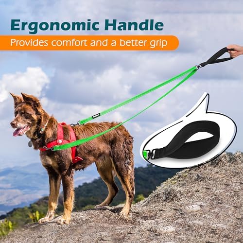 PetBonus Two Point Control Dog Leash, No Tangle Training Walking Leashes - Image 5