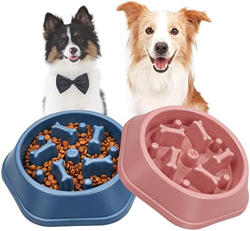 UPSKY Slow Feeder Dog Bowl Anti-Chocking Slower Feeding Pet Puzzle Bowls by UPSKY