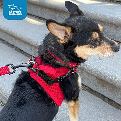 Best Pet Supplies Voyager Dog Collar Safety Clip with Dual Clasps, Collars and No Pull Harness Connectors, Training for Walking, Running, and Hiking, Safety Clip - Black - Image 5