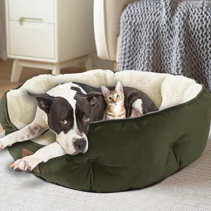 Asvin Small Dog Bed for Small Dogs, Cat Beds for Indoor Cats, Pet Bed for Puppy and Kitty, Extra Soft & Machine Washable with Anti-Slip & Water-Resistant Oxford Bottom, Green, 20 inches - Image 7