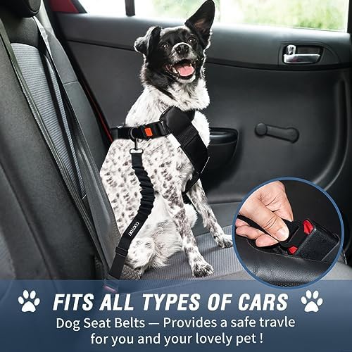 COOYOO Dog Seat Belt,3 Piece Set Retractable Dog Car Adjustable Seatbelts for Vehicle Nylon Pet Safety Heavy Duty & Elastic & Durable Car Harness for Dogs - Image 2