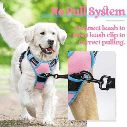 rabbitgoo Dog Harness, No Pull Medium Sized with 2 Leash Clips, Pet Vest - Image 6
