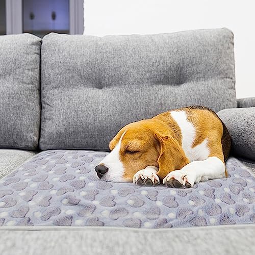 1 Pack 3 Puppy Blankets Super Soft Warm Sleep Mat Love Print Blanket Fluffy Fleece Pet Blanket Flannel Throw Dog Blankets for Small Dogs Puppy Dogs Fluffy Cats,Mix Love-Large(40"x30") - Image 4