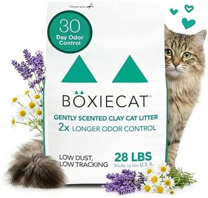 Boxie Premium Scented Clumping Cat Litter 30+ Day Odor Control 28 lb by Boxiecat