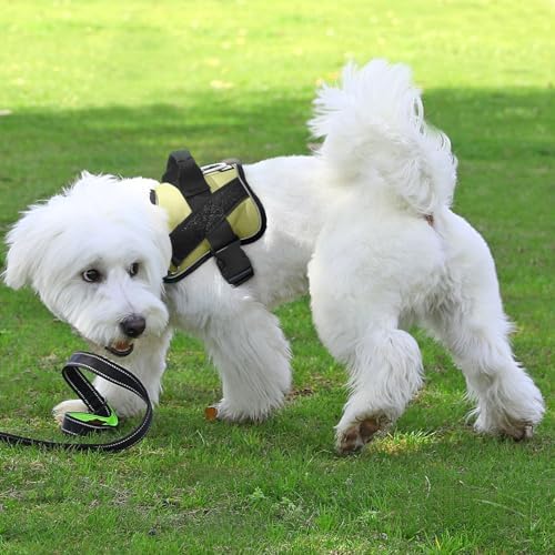 Dog Harness, No-Pull Reflective Dog Vest, Breathable Adjustable Pet Harness with Handle for Outdoor Walking - No More Pulling, Tugging or Choking - Image 6