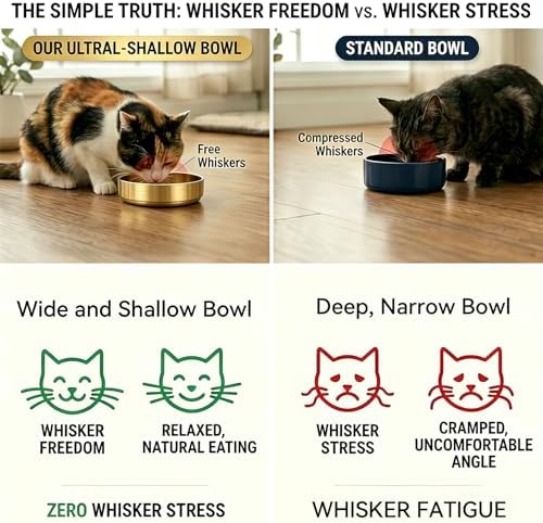 Whisker Fatigue Cat Bowl, 5.9" Shallow Cat Food Dish Stainless Steel, 2 Pcs - Image 4