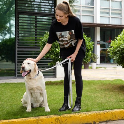 6 FT Silver Nylon Reflective Dog Leash for Large Dogs with 2 Padded Handle - Image 2