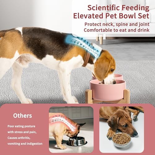Elevated Ceramic Dog Bowl, 3.6 Cups Dog Food and Water Bowl Set with Stand - Image 4