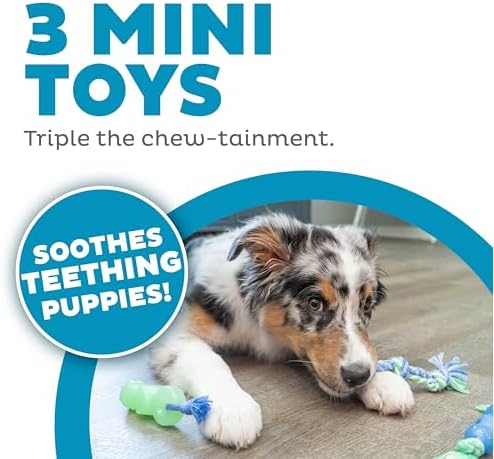 Mini Dentachew Dental Dog Chew Toys, 5-8", 3-Pack - Image 3