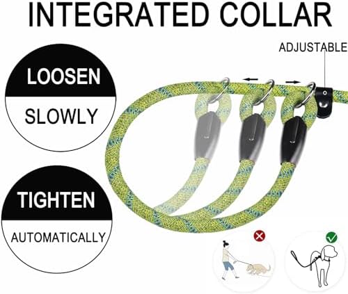 6 FT Heavy Duty Dog Leashes with Comfortable Padded Handle,Blue Green - Image 4