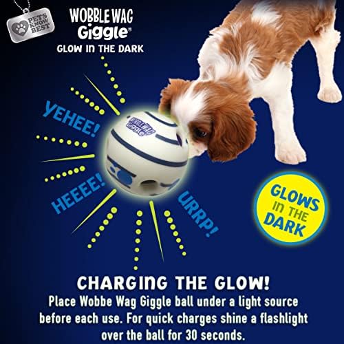Wobble Wag Giggle Ball 2 Pack- Interactive Dog Toy, Fun Giggle Sounds When Rolled or Shaken, Pets Know Best, 1 Original & 1 Glow in The Dark Ball - Image 6