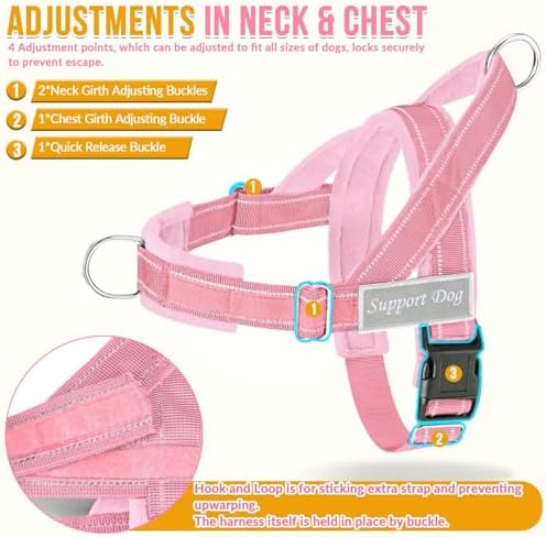 SlowTon No Pull Dog Harness and Leash Set - Heavy Duty, Soft Padded - Image 5
