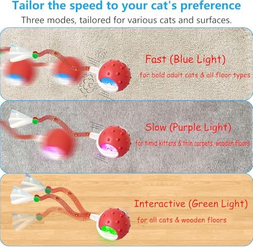 2PCS Interactive Cat Toys for Indoor Cats with 6 Tails, Automatic Cat Toy - Image 4