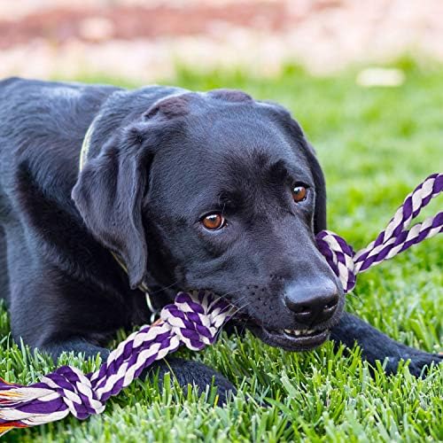 SHARLOVY Large Tough Chew Toys for Aggressive Chewers, 9 Pack Dog Rope Toys - Image 6