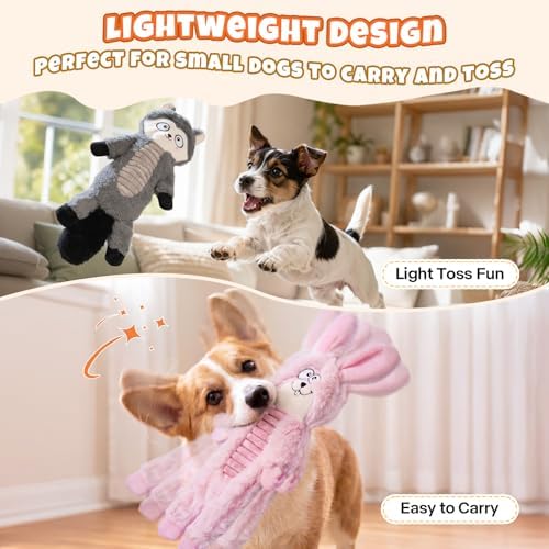 No Stuffing Dog Squeaky Toys Dogs Love These! - Image 4