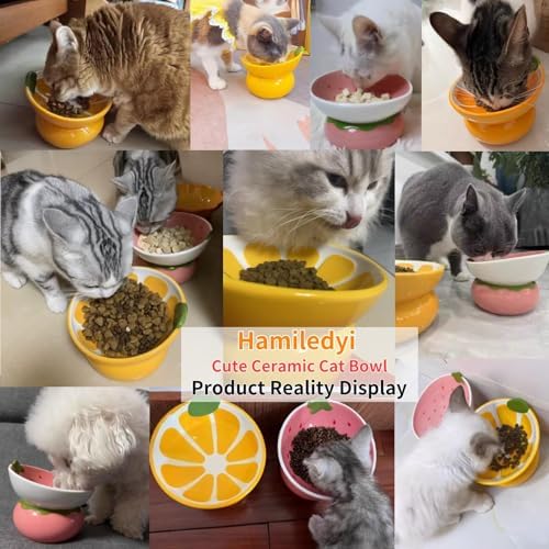 Hamiledyi Ceramic Raised Cat Bowls 15° Tilted Elevated Kitten Food Water Bowl Shallow Whisker Fatigue Kitty Dish Fruit Pet Feeding Bowls Feeder for Indoor Cats Small Dog (Pink Strawberry) - Image 7