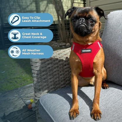 Best Pet Supplies Voyager Step-in Air All Weather Mesh Harness and Reflective Dog 5ft Leash Combo with Neoprene Handle, for Small, Medium and Large Breed Puppies - Red, Small - Image 5