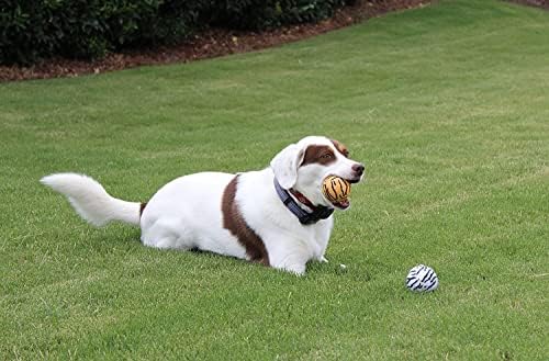 Unique Sports Dog Fetch Squeaker Balls Animal Prints 18 Pack - Image 6