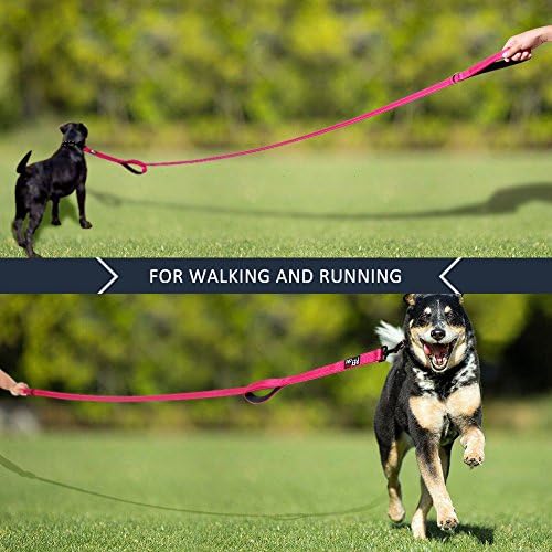 Plutus Pet Double Handle Dog Leash, 4 FT Long, for Medium Large Dogs - Image 6