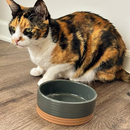 Mora Ceramic Pet Bowl Size Small - Food/Water Dish for Puppy Dogs, Cats, Guinea Pig, Rabbit, Hamster, Snake, ect. 11oz or 2 Cups - Basic Bowls for Your Dog or Cat, Mix and Match for a Set - Charcoal - Image 7