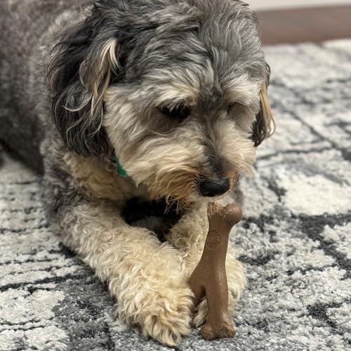 SPOT Bam-Bones Wishbone Dog Chew Toy, Bamboo Fiber Blend, Non-Splintering Durable Chew for Light to Moderate Chewers, Adult Dogs & Teething Puppies 10–30 lbs, Bacon Flavor, 5.25 in - Image 5