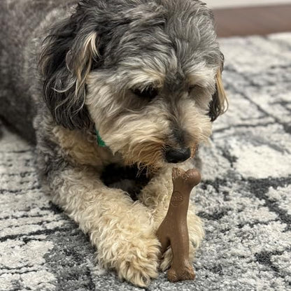 SPOT Bam-Bones Wishbone Dog Chew Toy, Bamboo Fiber Blend, Non-Splintering Durable Chew for Light to Moderate Chewers, Adult Dogs & Teething Puppies 10–30 lbs, Bacon Flavor, 5.25 in - Image 5