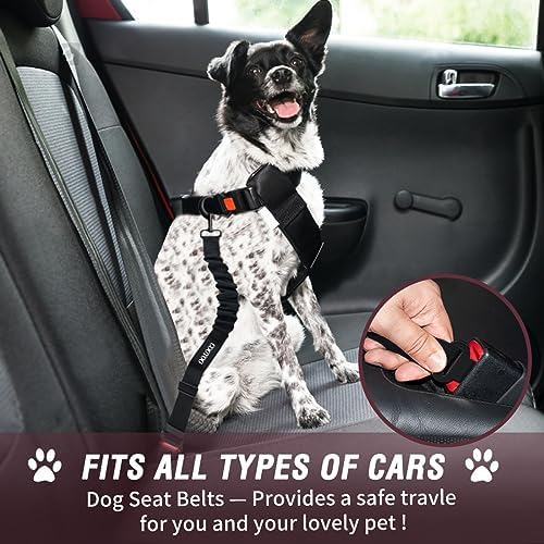 COOYOO Dog Seat Belt,3 Piece Set Retractable Dog Car Adjustable Seatbelts for Vehicle Nylon Pet Safety Heavy Duty & Elastic & Durable Car Harness for Dogs - Image 2