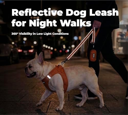 Best Pet Supplies Voyager Nylon Dog Leash - Orange, Large - Image 4