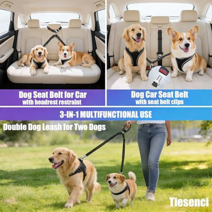 Double Dog Car Seatbelt No-Pull Bungee Reflective Black - Image 2