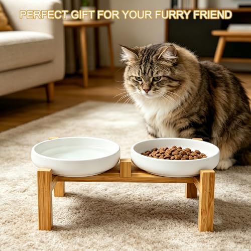 Shallow Elevated Cat Bowls with Bamboo Stand, 6.1 Inch Wide Ceramic Cat Dish Whisker Friendly, 2 Pack Pet Food and Water Plates - Image 6