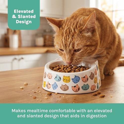 Kitty City Elevated Melamine Cat Bowl - Raised Tilted Dish for Food & Water, Sturdy Non-Slip Base, Non-Porous & Break Resistant, Dishwasher Safe, Indoor or Outdoor Pets – 5.4oz capacity, Colorful Cats - Image 4