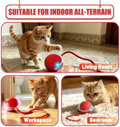 Automatic Interactive Rolling Cats Toys Ball for Indoor, Electric Automatic Rolling Pet Toy, 360° Smart Interactive Rolling Dog Ball Durable and Safe Material for Cat and Dog(Red) - Image 6