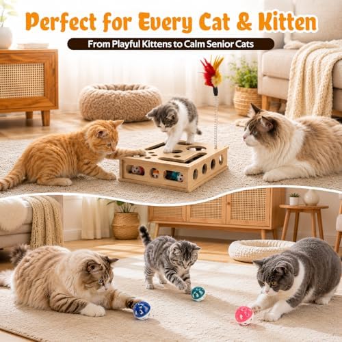 Cat Toys for Indoor Cats - Interactive Box Puzzle Toy Nail File Scratcher - Image 4