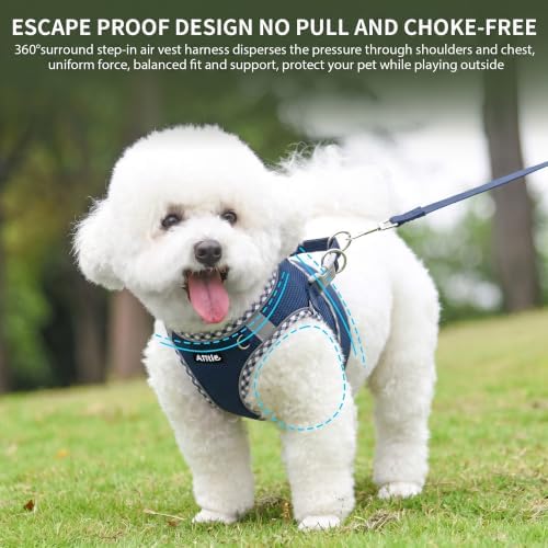 AIITLE Dog Harness and Leash Set with Breathable Mesh, Navy-Blue, M - Image 2