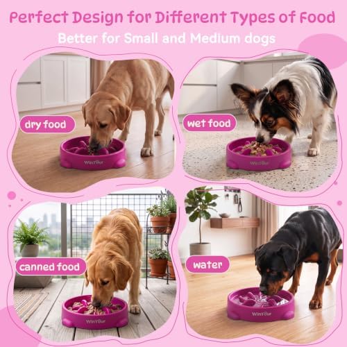 WinTour Slow Feeder Dog Bowls for Small Medium Pets, Round PP Dish, 1 Pack - Image 4