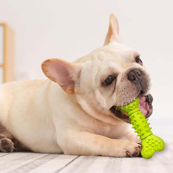 Bone Shape Dog Squeaky Toys, Durable Dog Chew Toys for Aggressive Chewers, Puppy Teething Toys for Small/Medium Dogs Natural Rubber Puppy Chew Toys for Teething