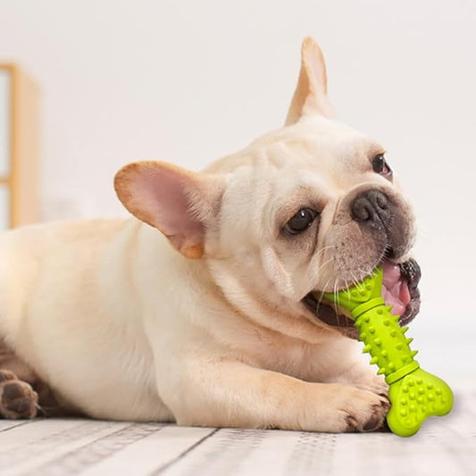 Bone Shape Dog Squeaky Toys, Durable Dog Chew Toys for Aggressive Chewers, Puppy Teething Toys for Small/Medium Dogs Natural Rubber Puppy Chew Toys for Teething